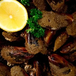 Cozze Pelose o Modiole