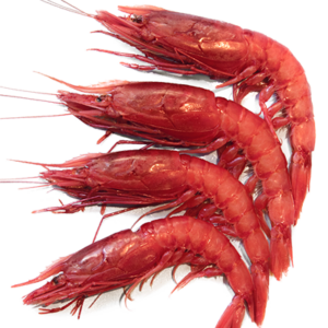Gambero Rosso